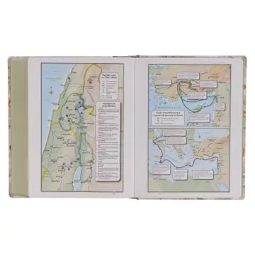 KJV Note-Taking Bible, Luke 22:42