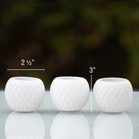 Succulent Mini Pot Tear Pattern