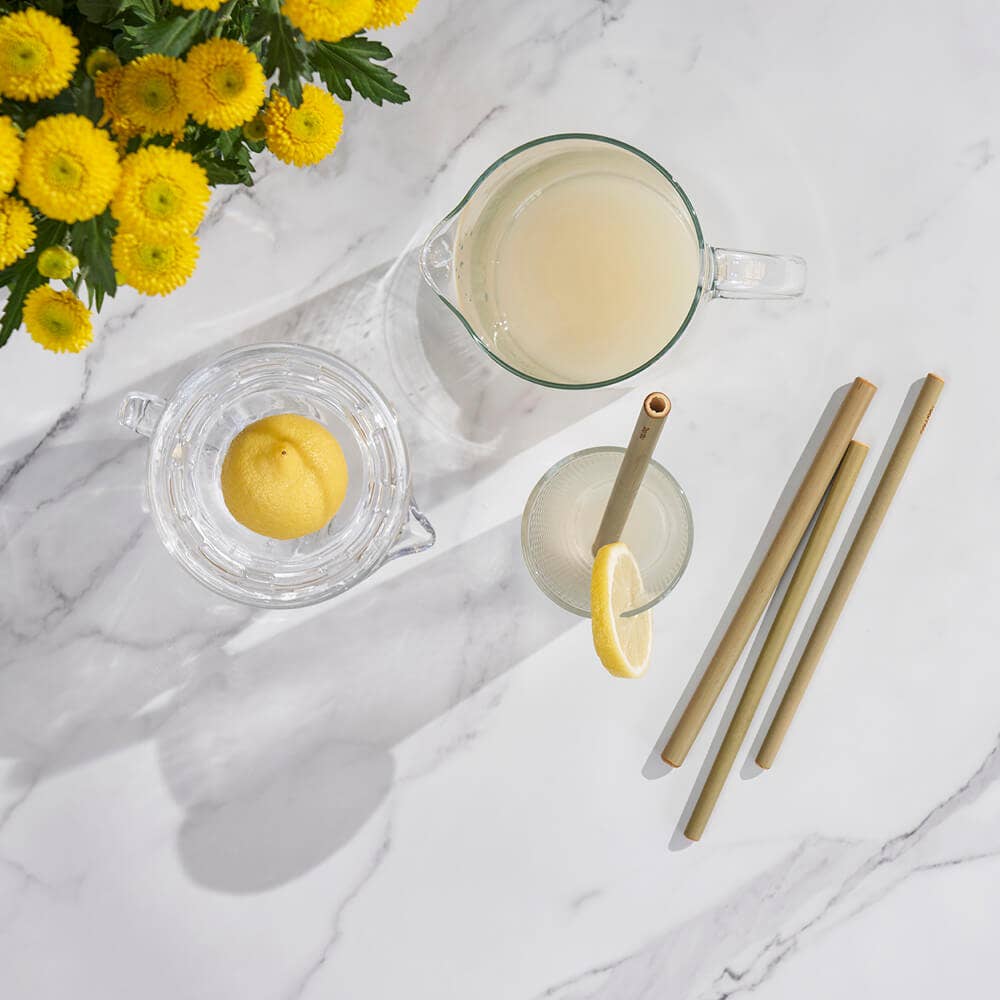Original Reusable Green Bamboo Straws - Set of 6