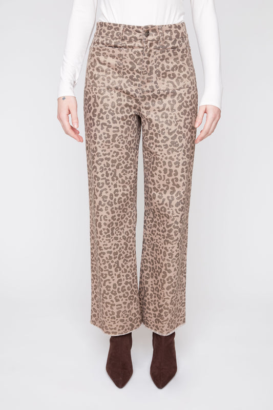 Leopard Dreams