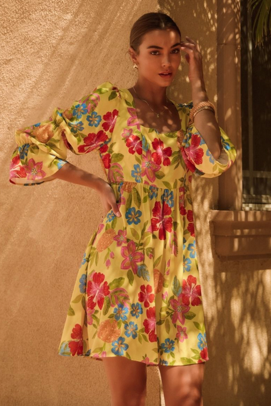 Dana Sue's Embroidered Dress