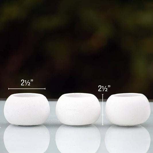 Succulent Mini Pot Round