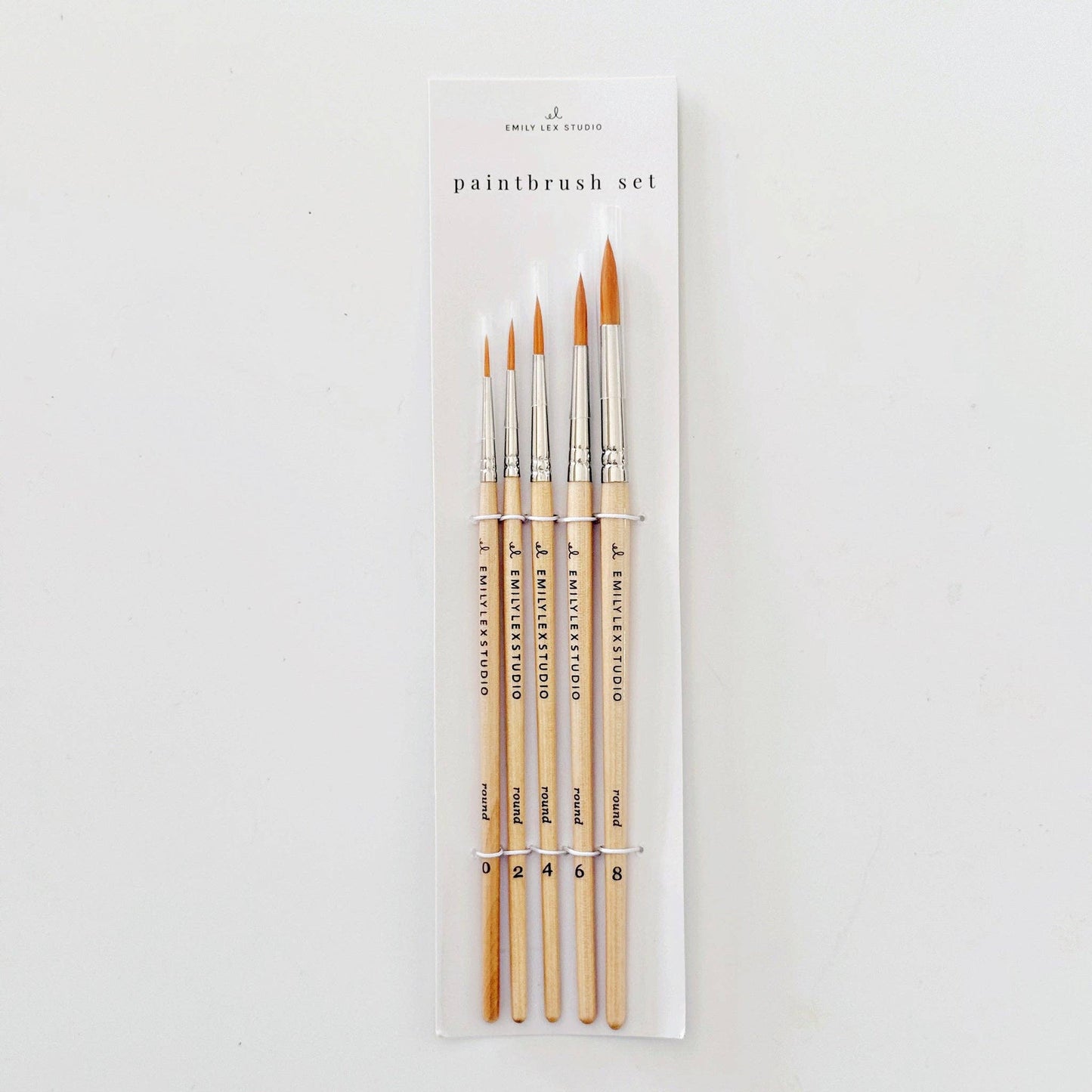 Set of 5 Paintbrushes