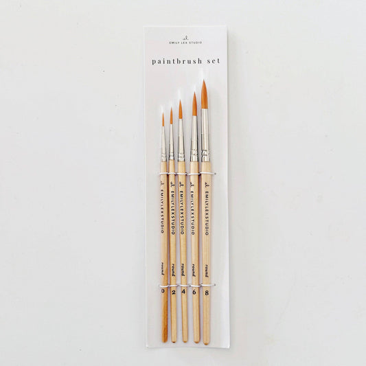 Set of 5 Paintbrushes