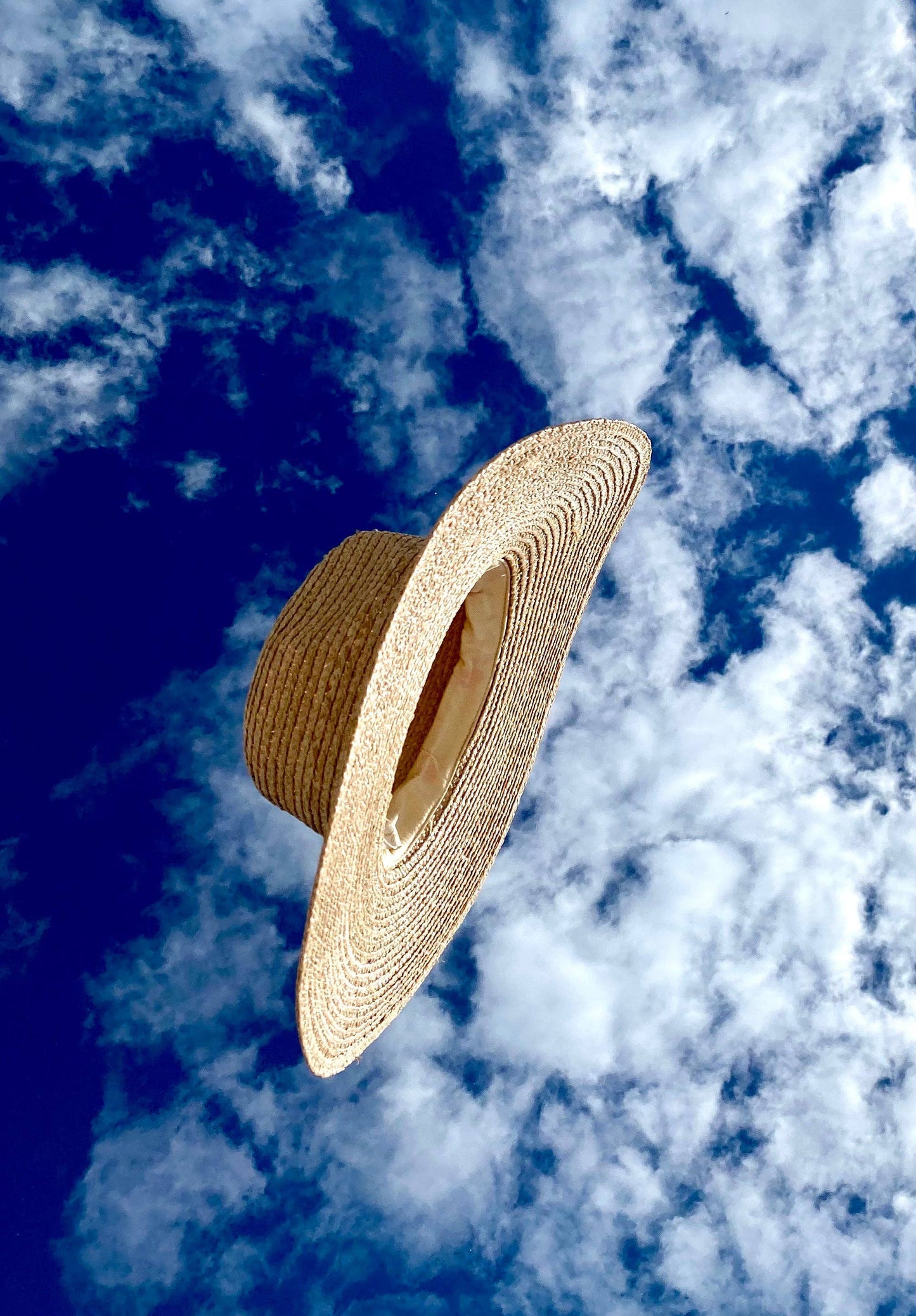 The Austin - Raffia Fedora Hat