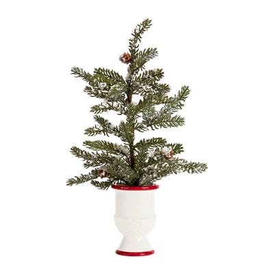 Potted Pine Tree