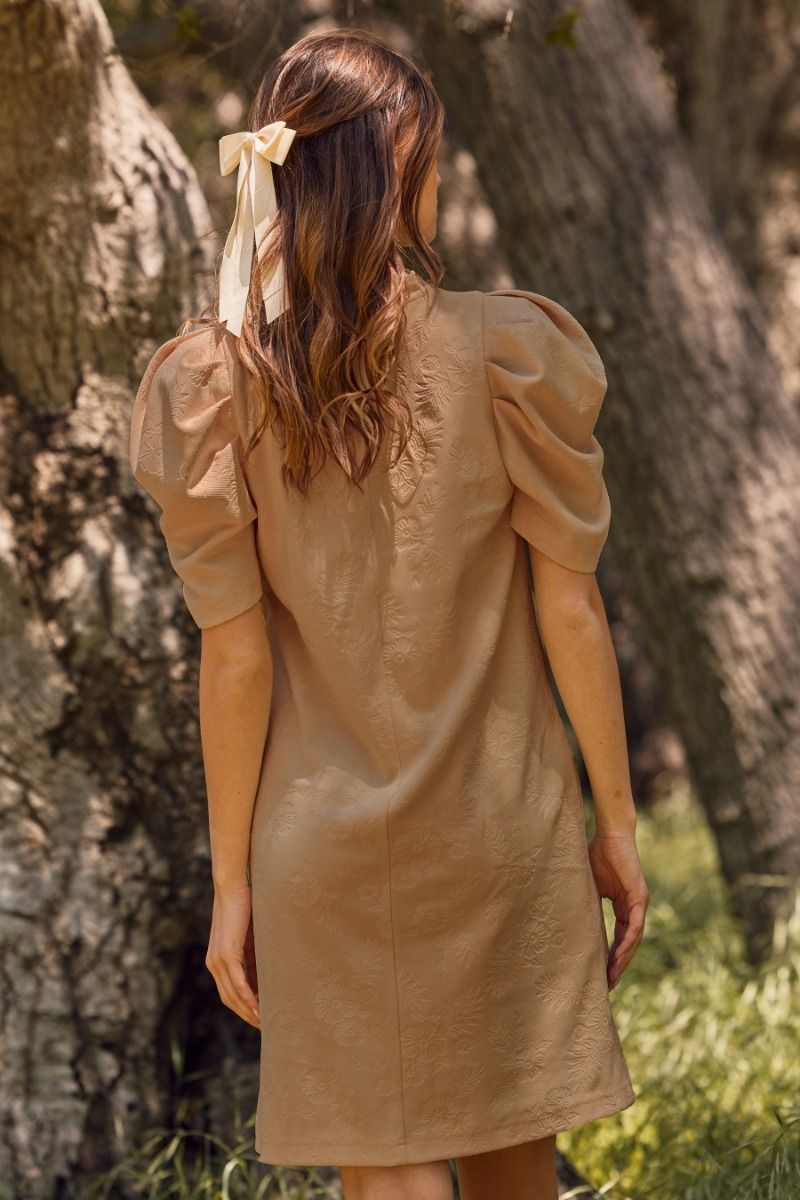 Amaya's Taupe Pleated Dress
