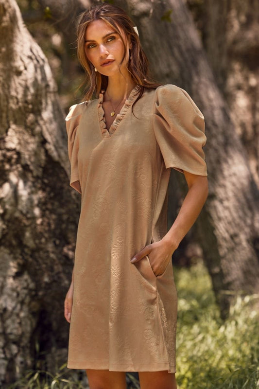Amaya's Taupe Pleated Dress