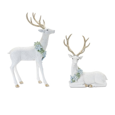 Elegant Deer