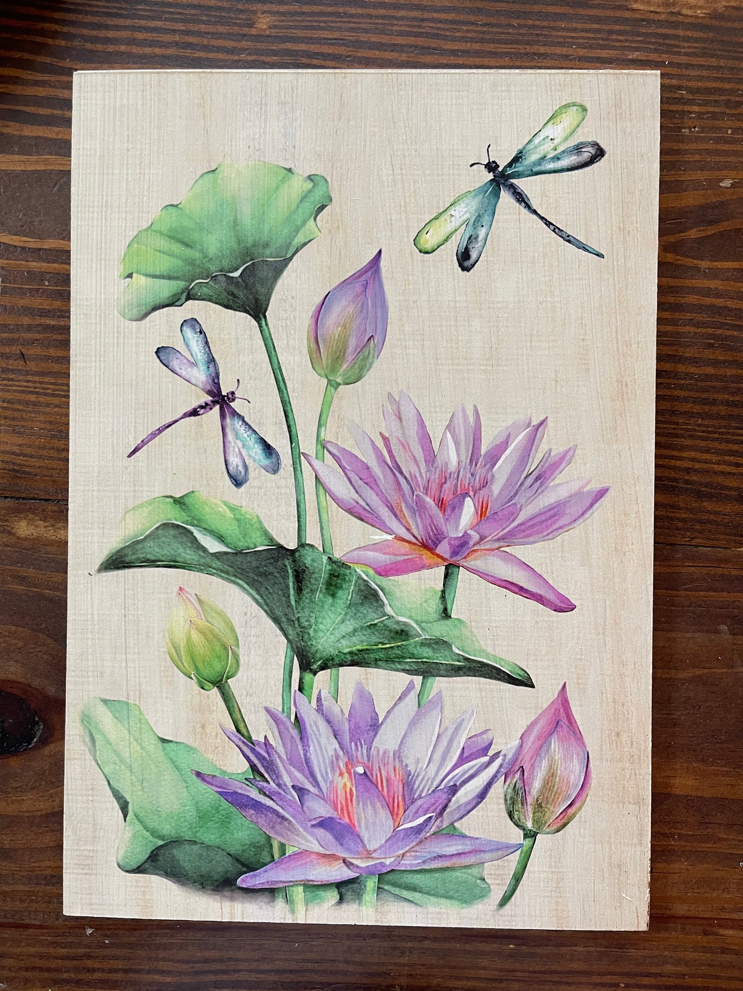 Watercolor Lilies & Dragonflies