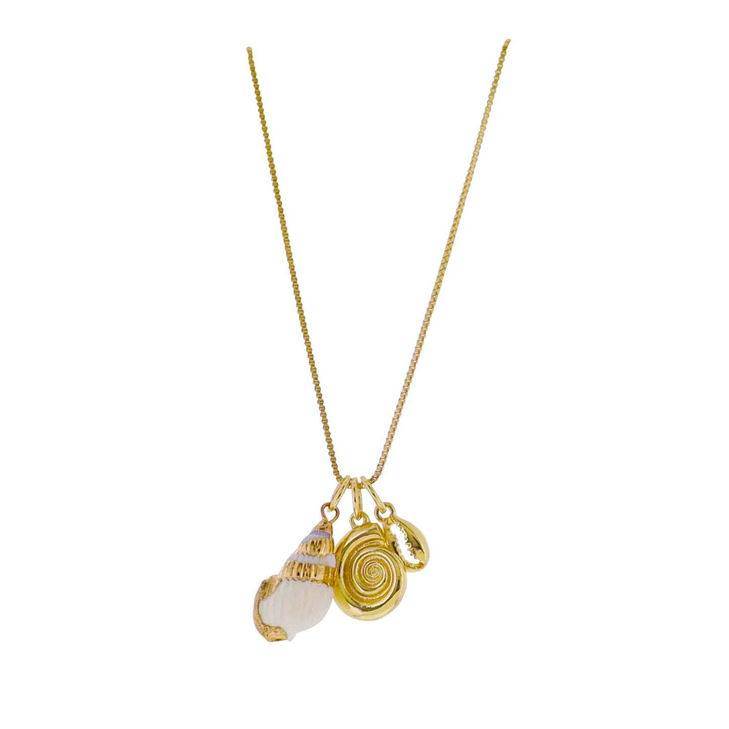 Conch Shell Necklace