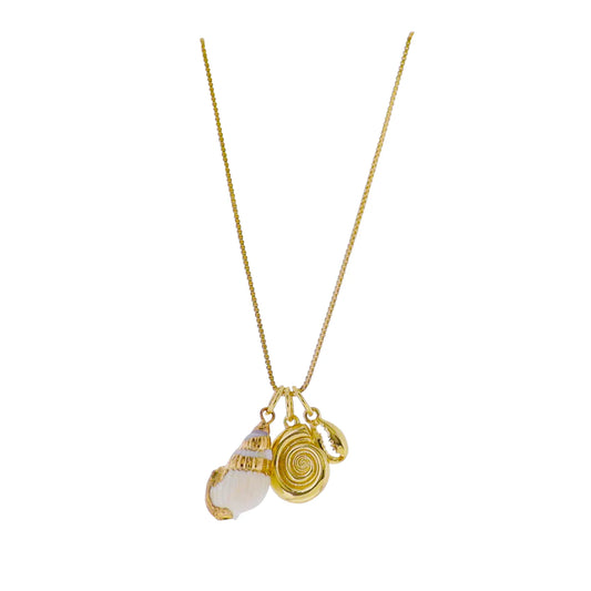 Conch Shell Necklace