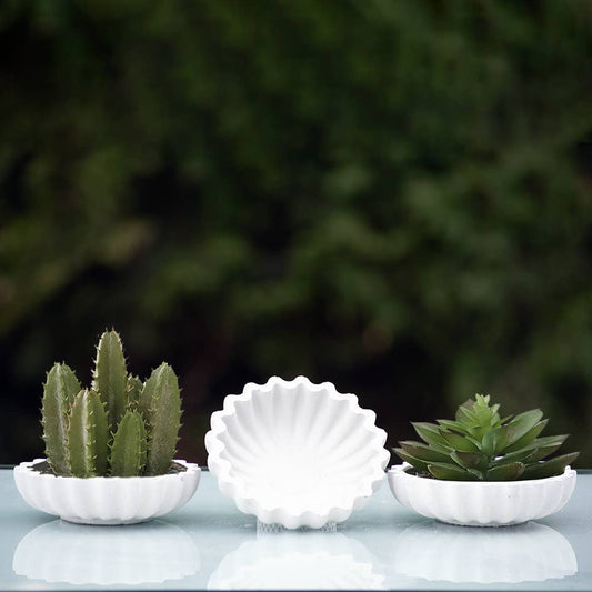 Succulent Mini Pot Flower Shaped