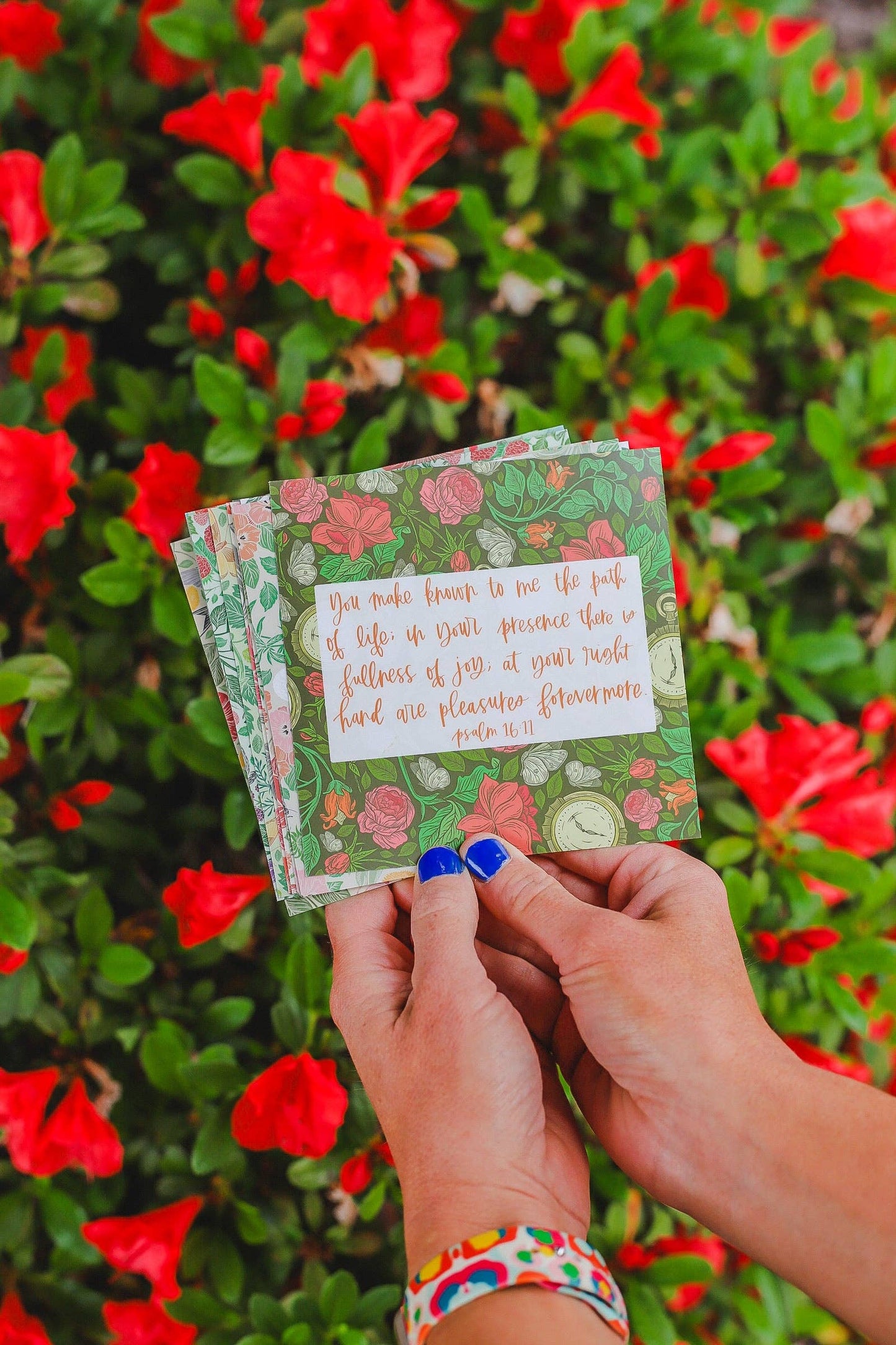 Everyday Encouragement