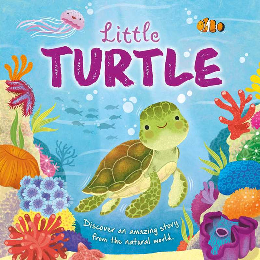 The Little Turtle Book by IglooBooks