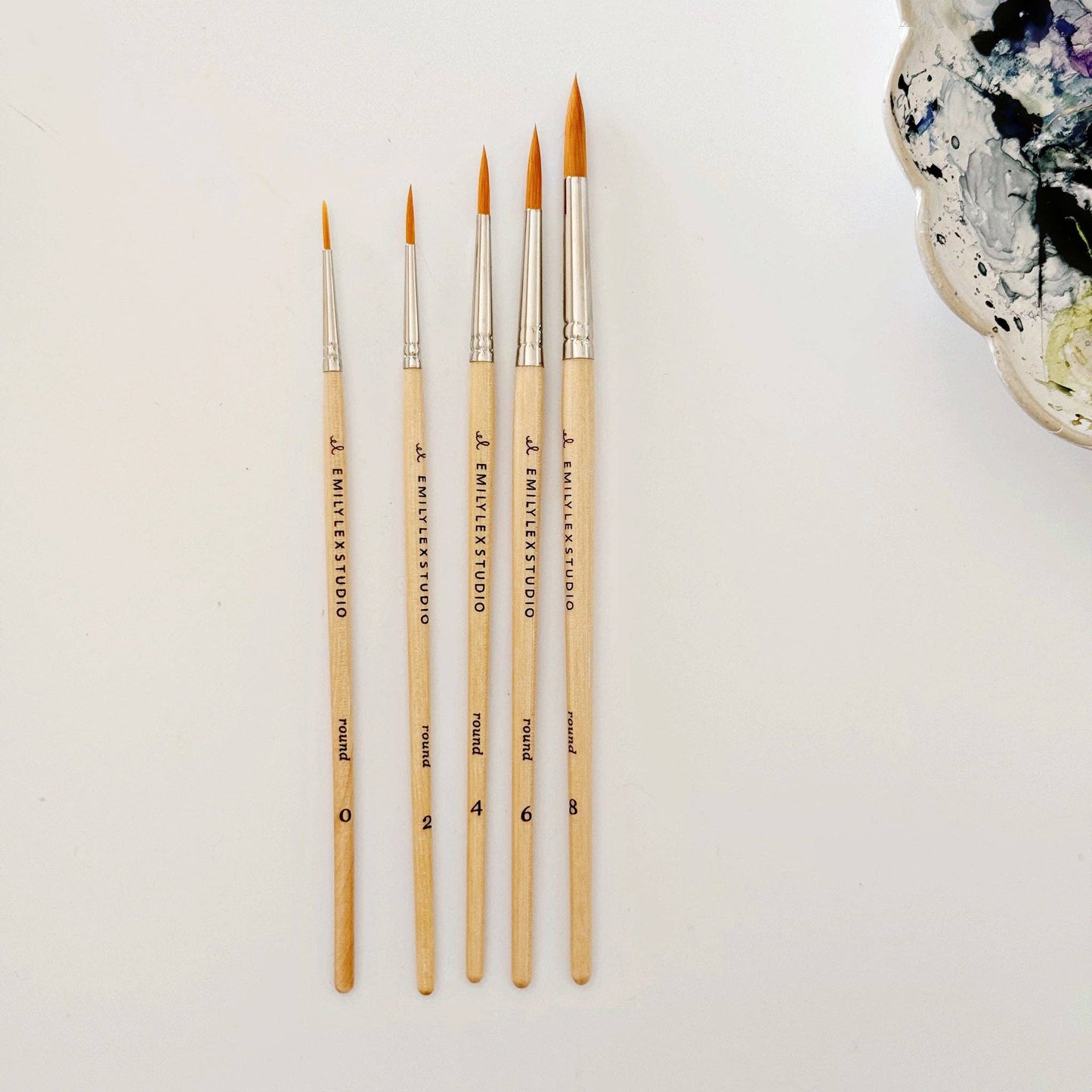 Set of 5 Paintbrushes